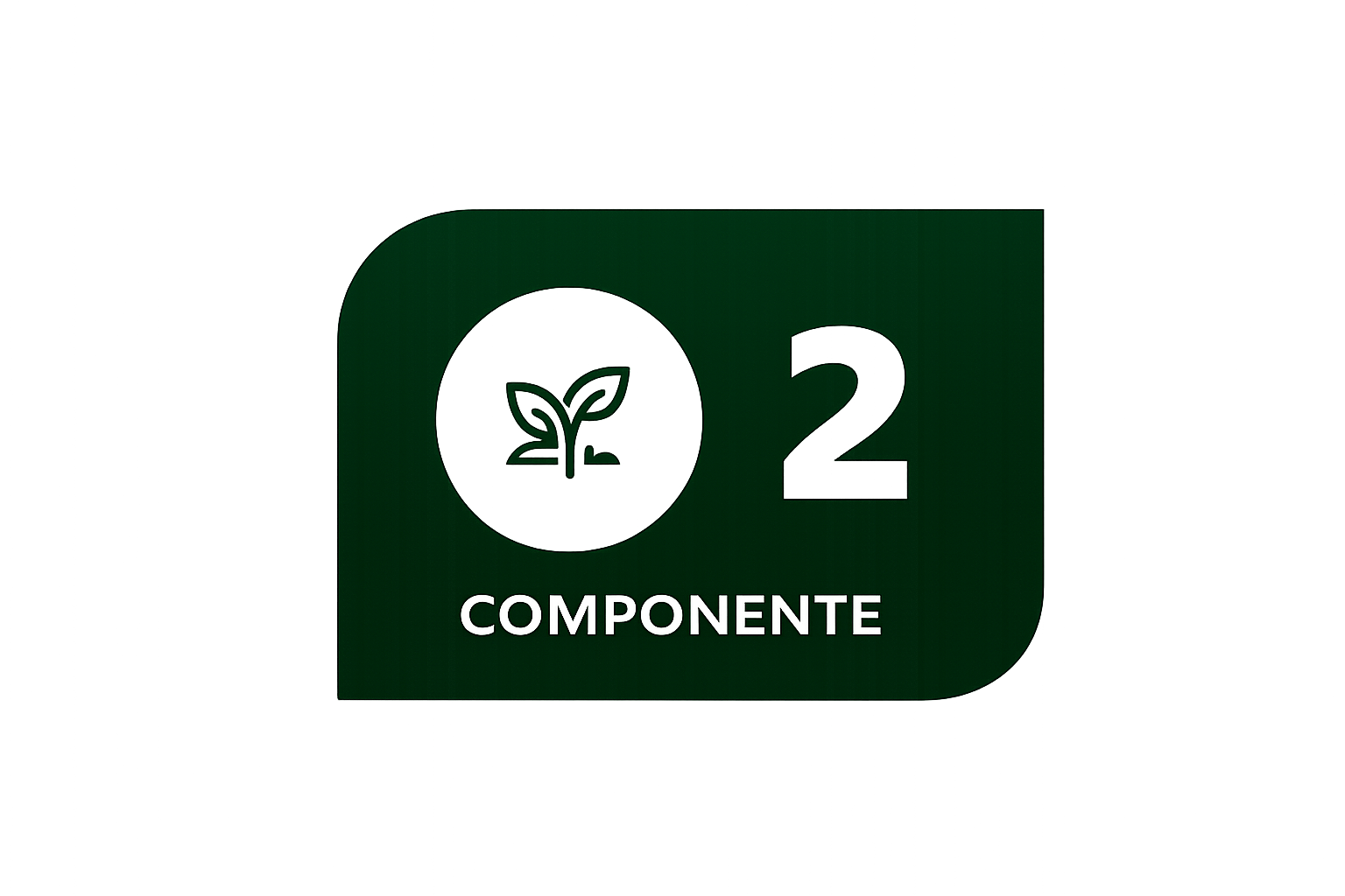 Componente 2