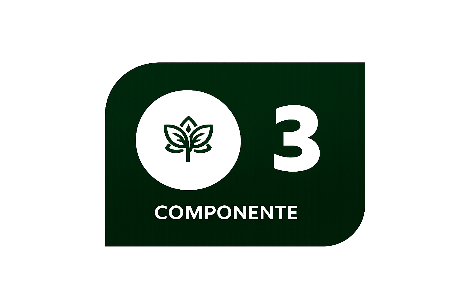 Componente 3